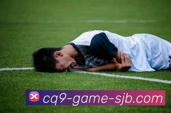 App Interface Preview